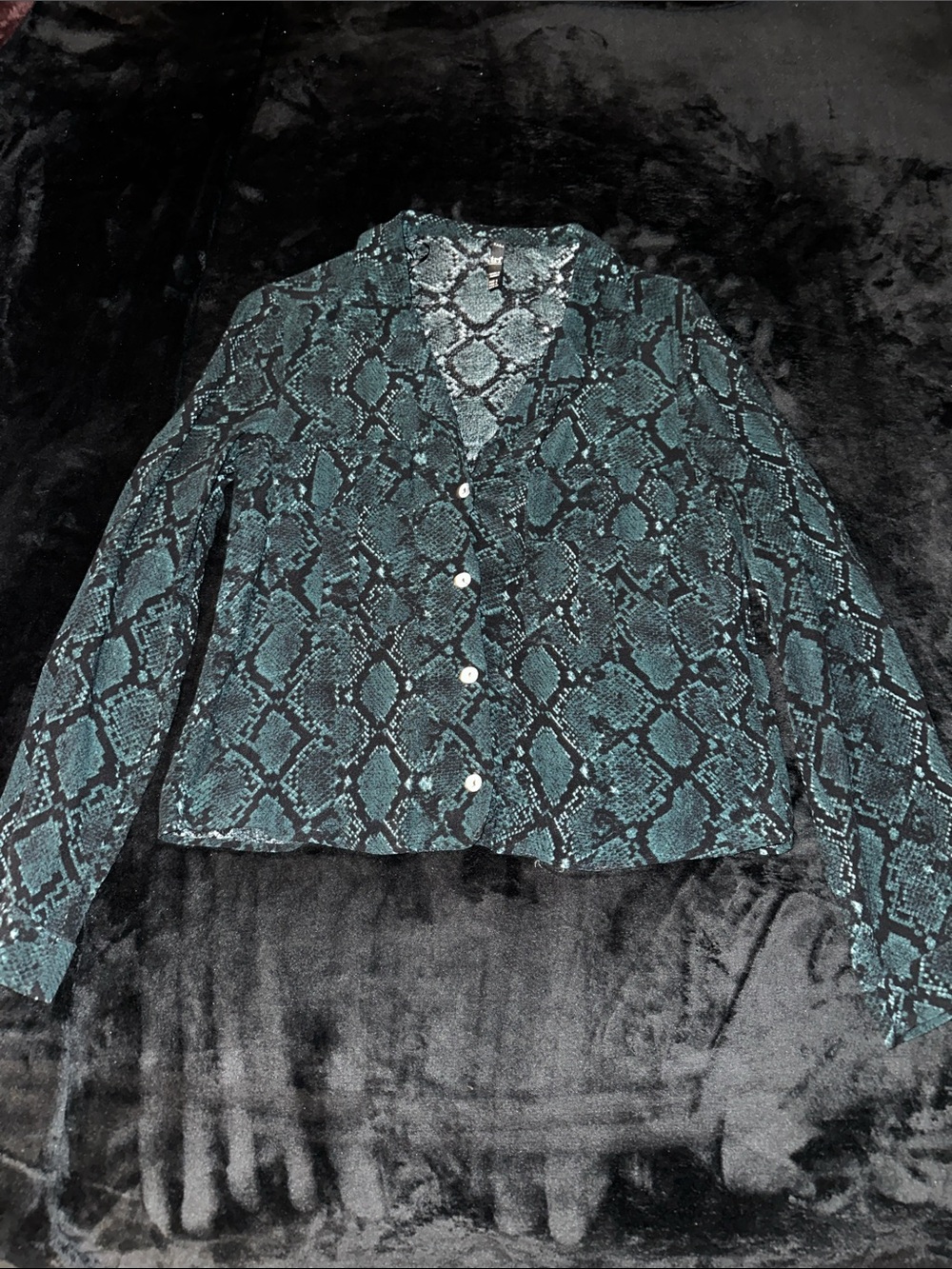 Zara Teal and Black Snake-Print Button Jacket